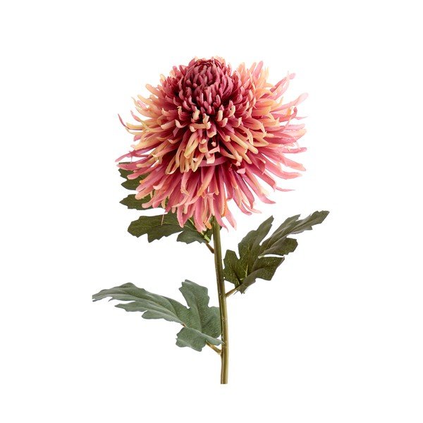 Plantă artificială (înălțime 91 cm) Chrysantheme – Light & Living-image-2