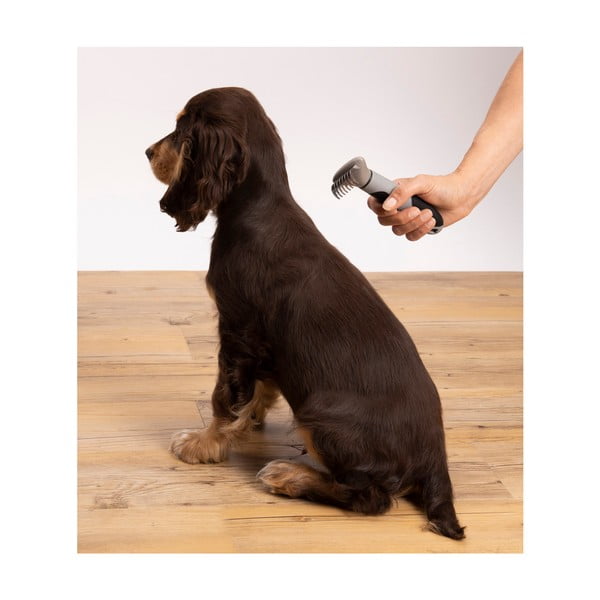 Piaptăn de tuns – Love Story-image-3