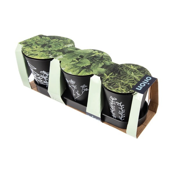 Ghivece 3 buc. din metal pentru ierburi aromatice ø 11 cm Black – Orion-image-3