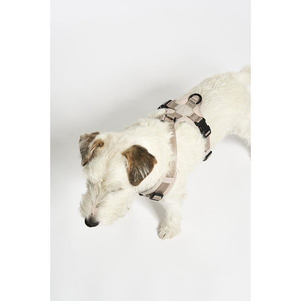 Ham bej S lungime 30 cm Modena Greige S – MiaCara-image-2