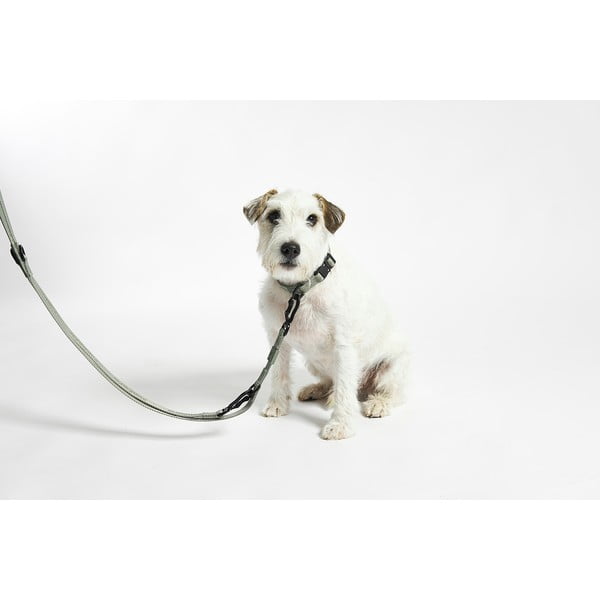 Lesă bej cu prindere prin carabină lungime 200 cm Modena Greige 20 mm – MiaCara-image-3