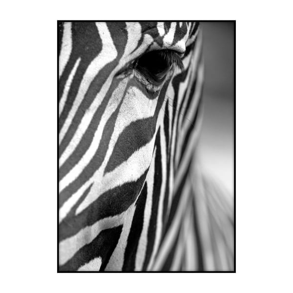 Poster Imagioo Zebra Texture, 40 x 30 cm