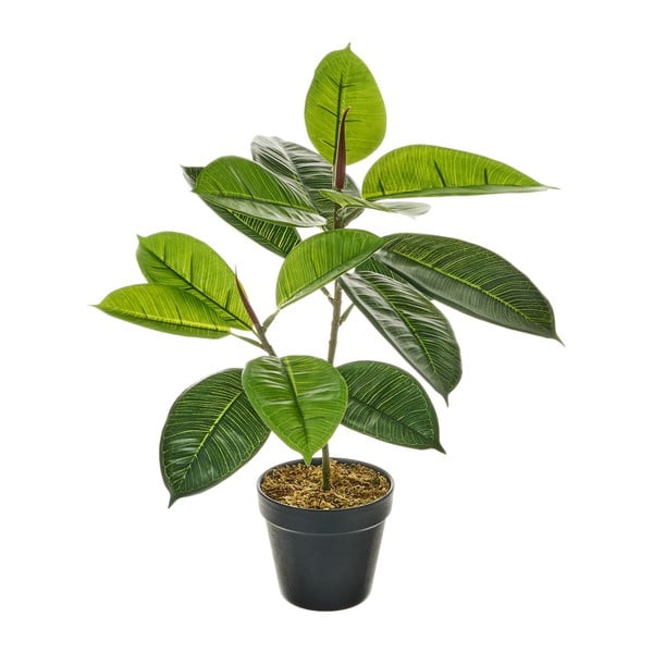 Ficus artificial (înălțime 50 cm) – Casa Selección