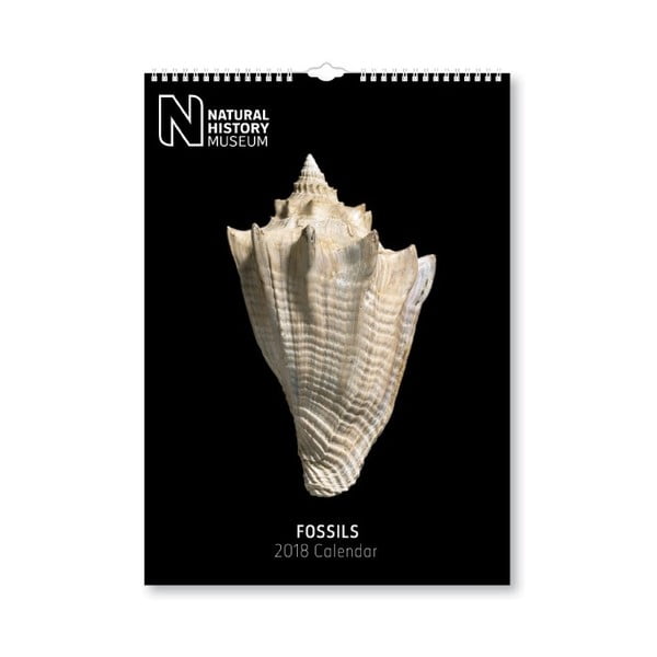 Calendar perete pentru anul 2018 Portico Designs Natural History Museum Fossils, A3