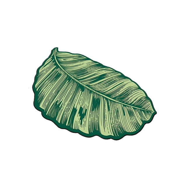 Covoraș de baie verde 60x100 cm Sheet – Foutastic