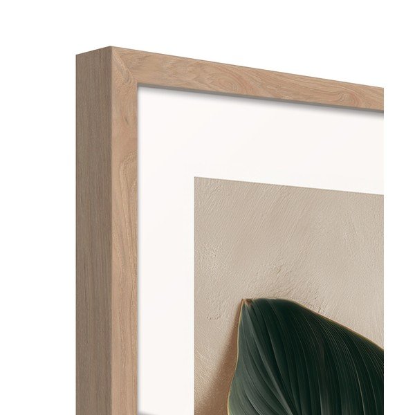 Tablou cu ramă imprimat 50x70 cm Strelizia Leaf – Styler-image-4