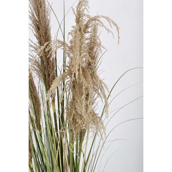 Plantă artificială (înălțime 145 cm) Austorderia – Bizzotto-image-3