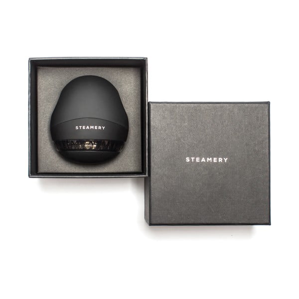 Aparat de scame negru Pilo 1 – Steamery-image-4