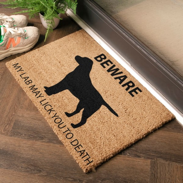 Covoraș de intrare din fibre de nucă de cocos 40x60 cm Labrador – Artsy Doormats-image-1