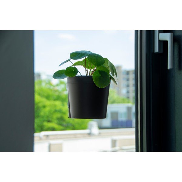 Ghivece 2 buc. din plastic suspendate și de perete ø 13 cm – Esschert Design-image-4