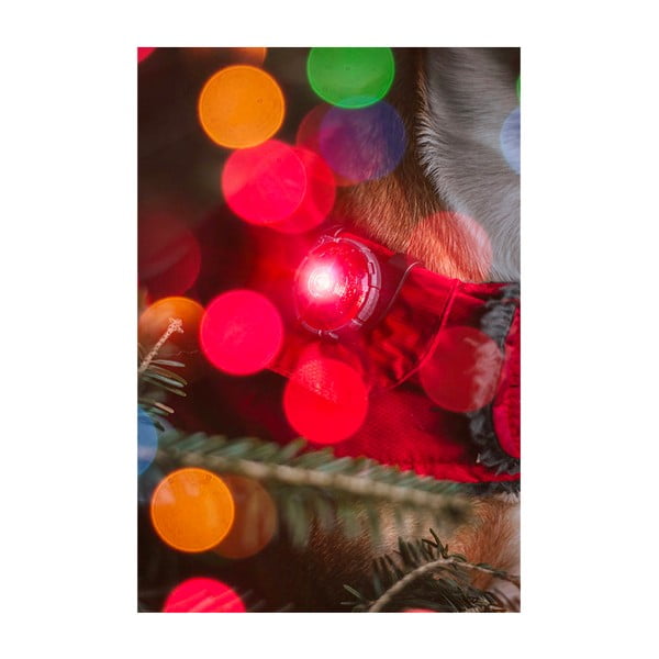 Lanternă LED pentru zgardă Red – Orbiloc-image-4