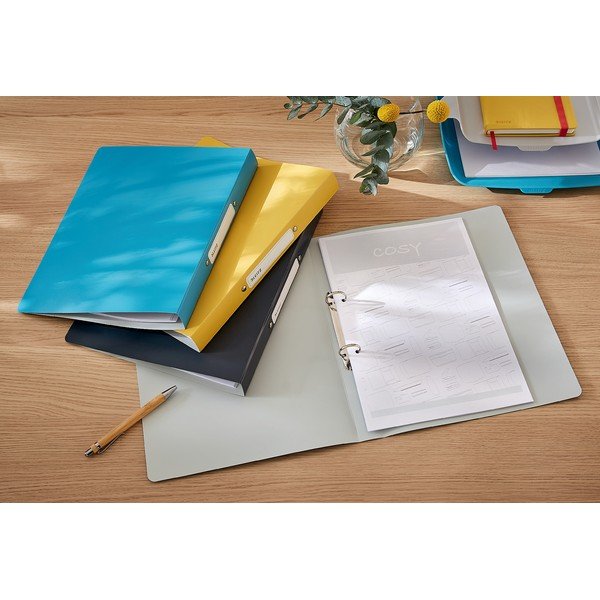 Dosar cu inel Leitz Cosy, gri-image-1