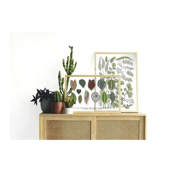 Tablou cu ramă din lemn de pin Surdic Leafes Collection, 50 x 70 cm-image-1