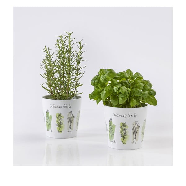 Ghivece din ceramică 2 buc. pentru plante aromatice ø 14 cm Dalllas Culinary - Big pots-image-1