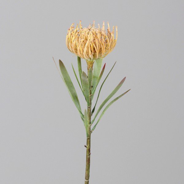 Plantă artificială (înălțime 43 cm) Protea – Ego Dekor