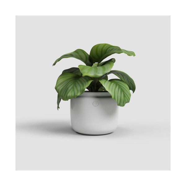 Ghiveci din ceramică făcut manual ø 26 cm Astrea – Artevasi-image-1