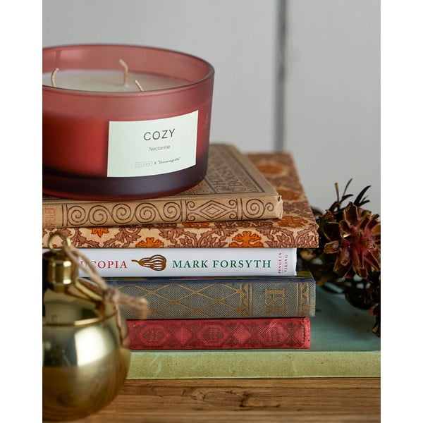 Lumânare parfumată timp de ardere 25 h Cozy Nectarine – ILLUME x Bloomingville-image-1