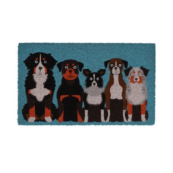 Covoraș de intrare din fibre de nucă de cocos 45x75 cm – Esschert Design