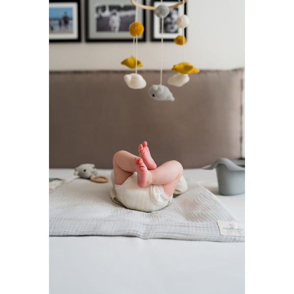 Oliță de noapte gri - Kindsgut-image-2