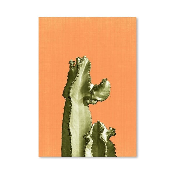 Poster Cactus On Orange
