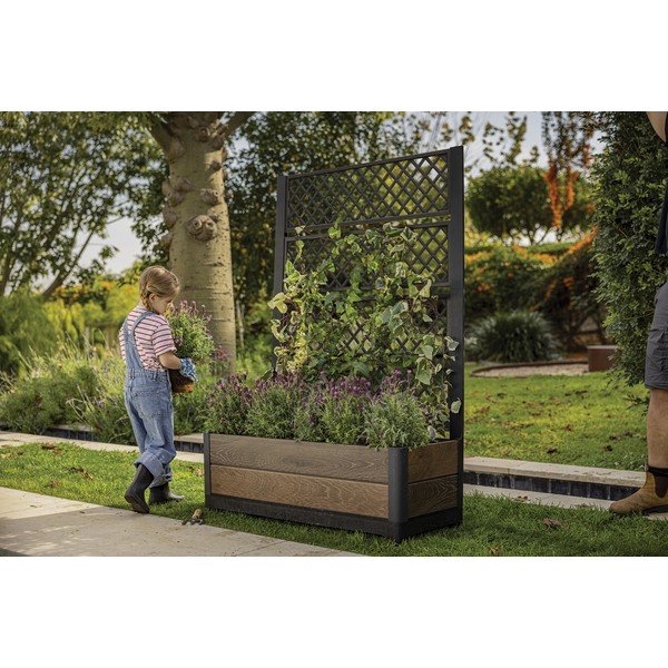 Pat ridicat de plante Deco – Keter-image-1