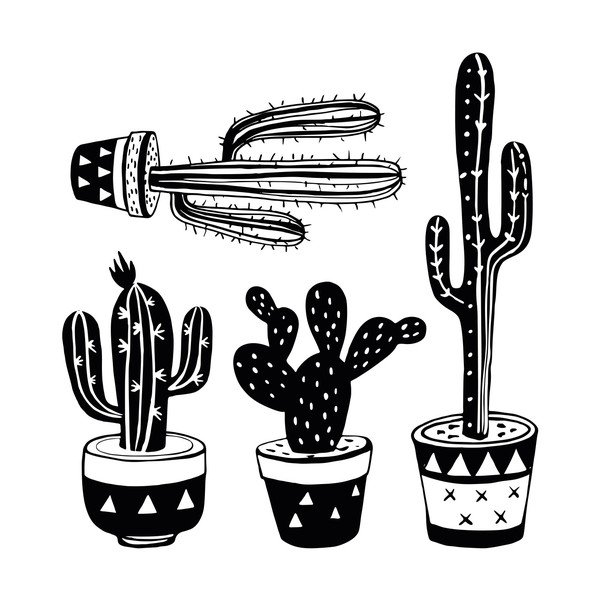 Set 4 autocolante Ambiance Mexican Cactus-image-2