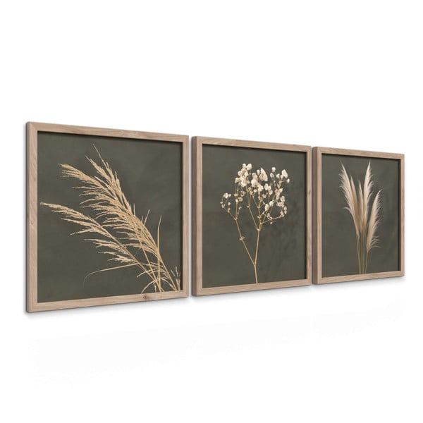 Tablouri 3 buc. 30x30 cm Pampas – Styler-image-4