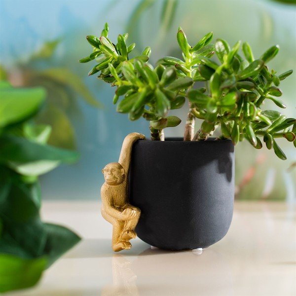 Decorațiune mică din polirășină Monkey – Sass & Belle-image-4