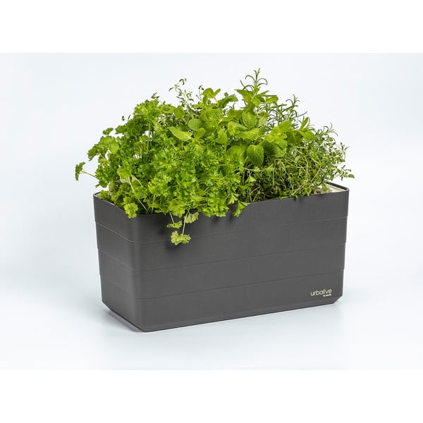 Jardinieră din plastic cu sistem de auto-irigare 39,5 cm Berberis – Plastia-image-1