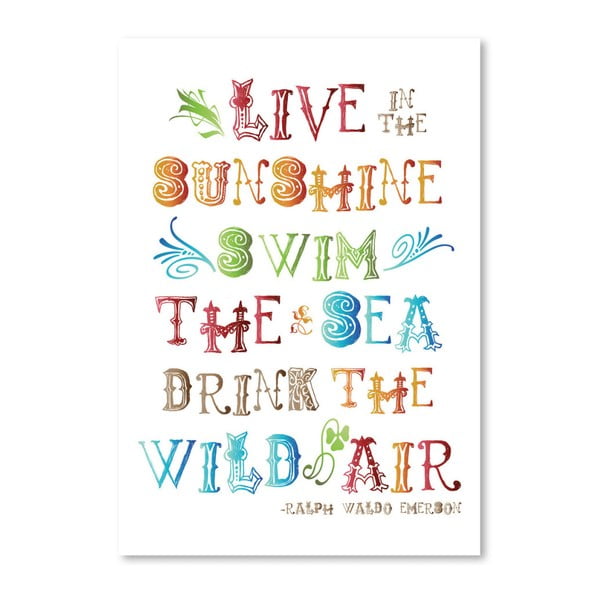 Poster Americanflat Wild Air, 42 x 30 cm