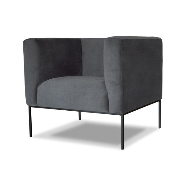 Fotoliu Windsor  & Co. Sofas Neptune, gri -image-1
