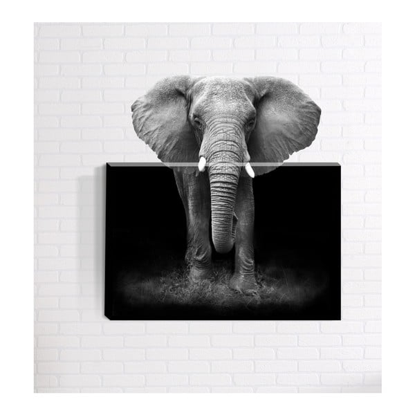 Tablou de perete 3D Mosticx Africa, 40 x 60 cm