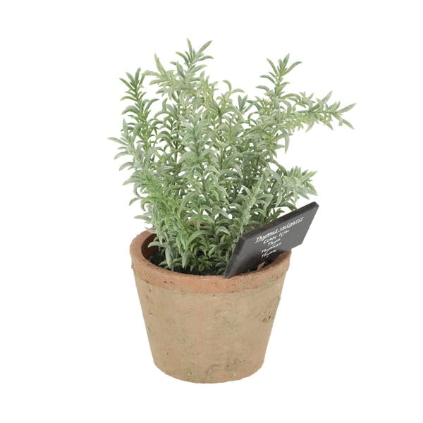 Plantă artificială (înălțime 21,5 cm) Thyme – Esschert Design-image-3