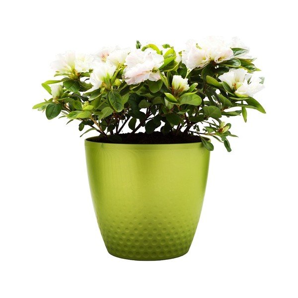 Ghiveci Plastia Perla, ø 21,5 cm, verde-image-1