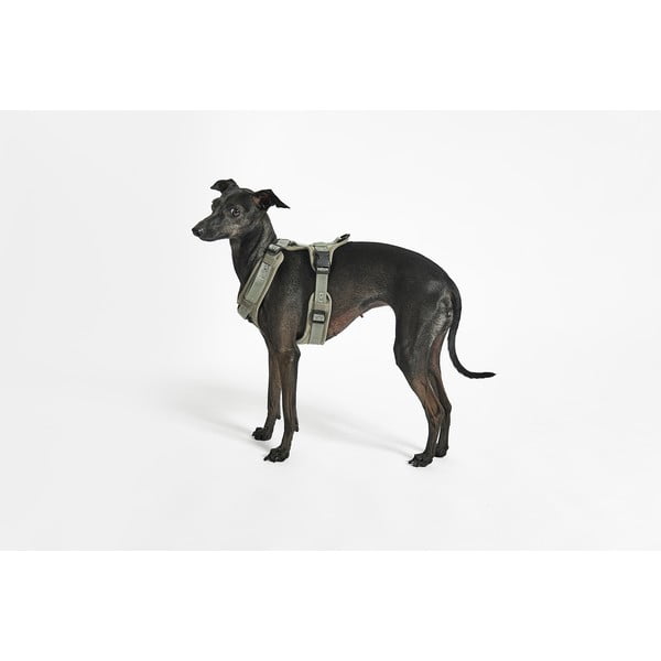 Ham verde M lungime 35 cm Modena Grolive M – MiaCara-image-3