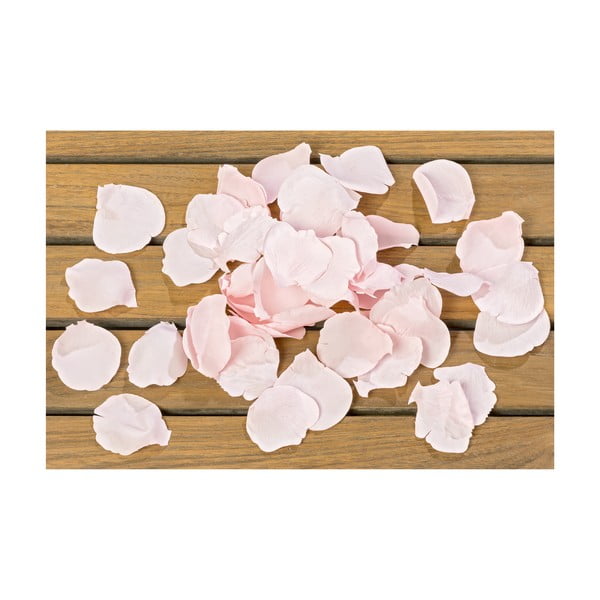Set 28 petale de trandafir Boltze Rose Confetti