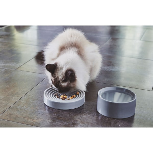 Bol pentru animale pentru pisici din porțelan ø 14 cm Fresco Concrete S – MiaCara-image-3