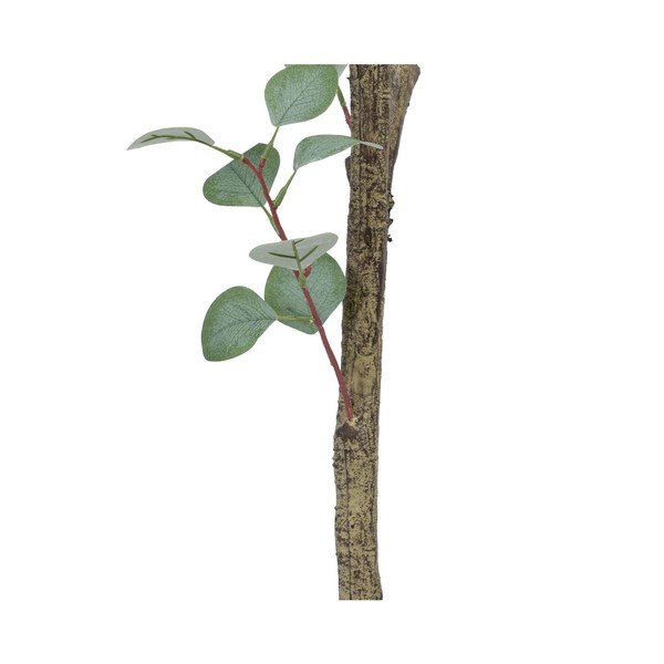 Eucalipt artificial (înălțime 180 cm) Eucalyptus – Ixia-image-4