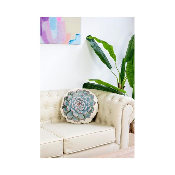 Pernă din microfibră Surdic Raso Suculenta Pasika, ⌀ 45 cm-image-1
