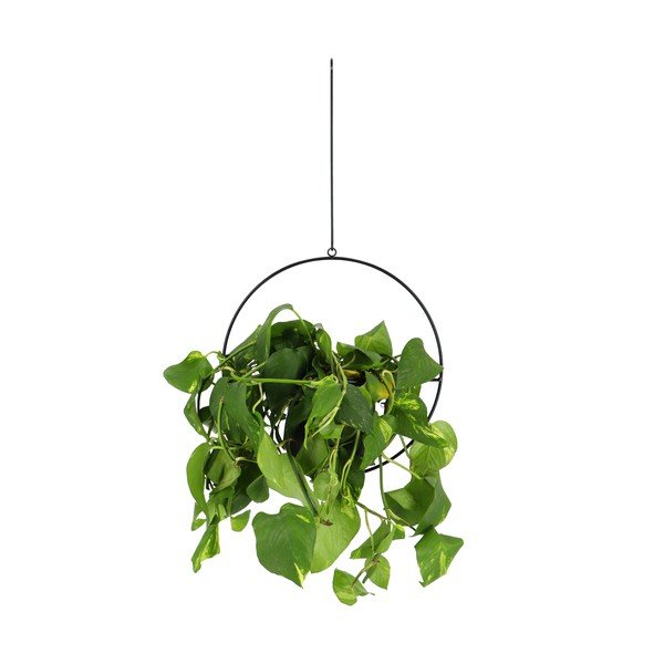 Suport suspendat pentru ghiveci Esschert Design Planter, negru-image-1