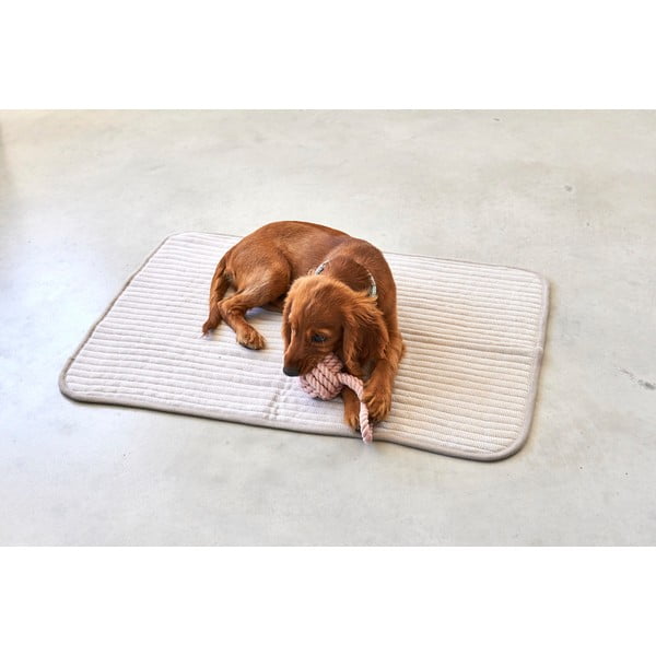 Pătură bej pentru câini din bumbac 90x120 cm Onda Greige L – MiaCara-image-2