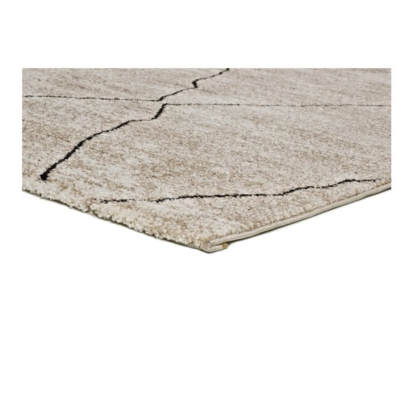 Covor Universal Hydra Beige, 160 x 230 cm, bej-image-2