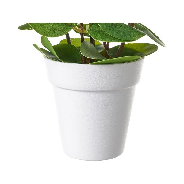 Plantă artificială – Casa Selección-image-1