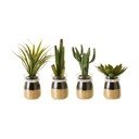 Plante artificiale 4 buc. (înălțime 18 cm) Cactus – Casa Selección