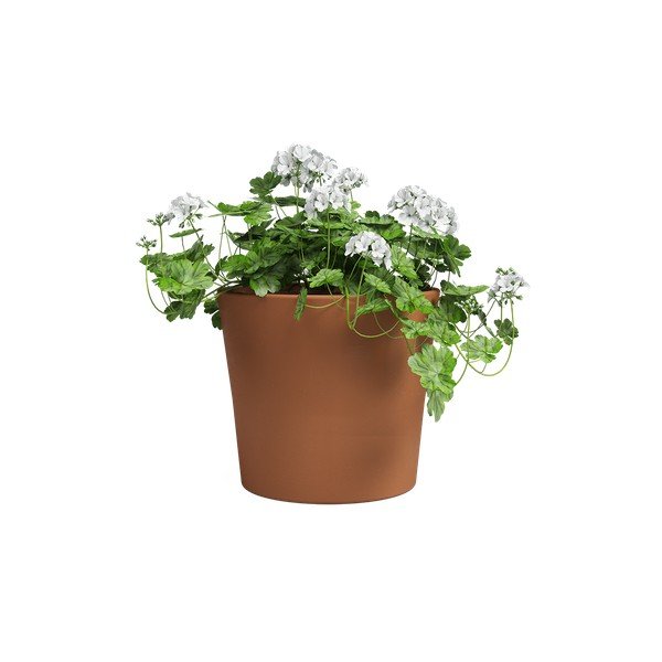 Ghiveci din teracotă ø 39 cm Manuel – Artevasi-image-2