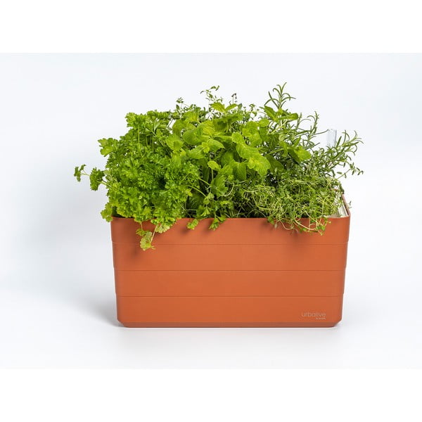 Jardinieră din plastic cu sistem de auto-irigare 39,5 cm Berberis – Plastia-image-1
