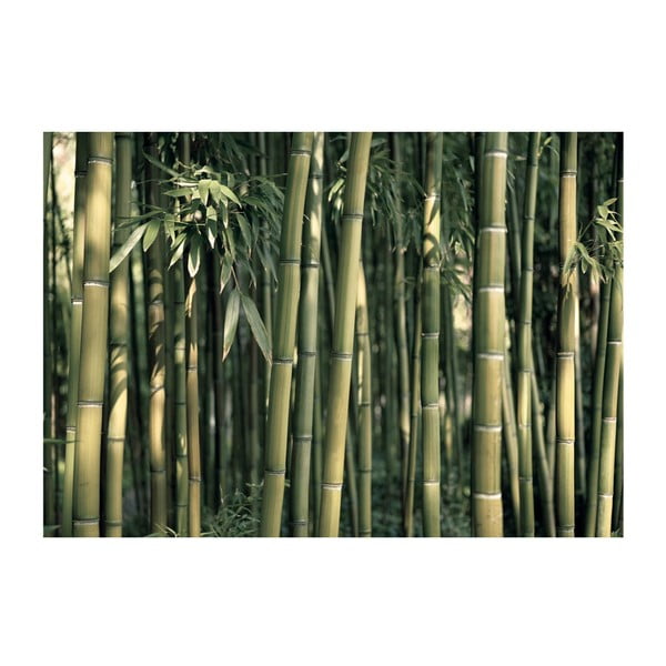 Tapet în format mare Artgeist Bamboo Exotic, 200 x 140 cm