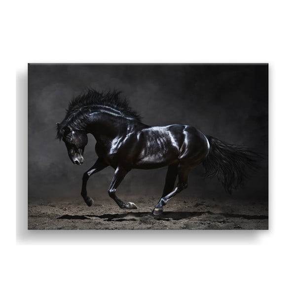 Tablou Styler Canvas Silver Uno Horse, 85 x 113 cm