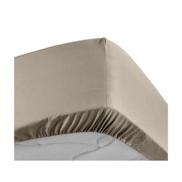 Cearceaf maro deschis din bumbac percal cu elastic 90x190 cm Percaline – douceur d'intérieur-image-3