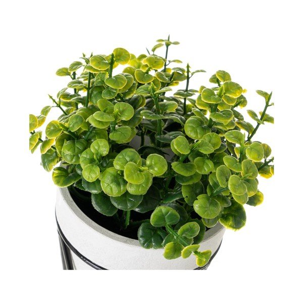 Plante artificiale 4 buc. – Casa Selección-image-2